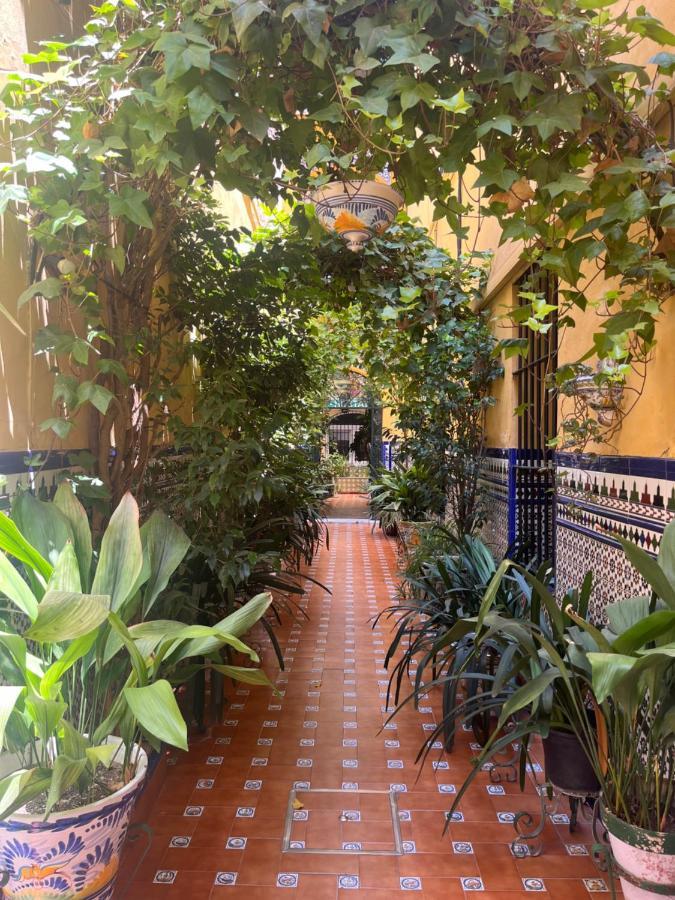 Hostal Atenas Sevilla Kültér fotó